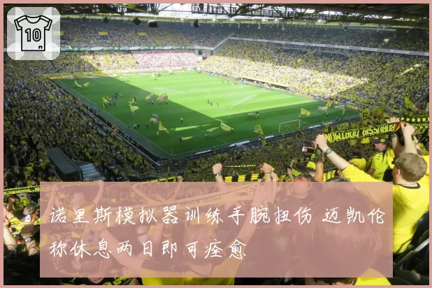 诺里斯模拟器训练手腕扭伤 迈凯伦称休息两日即可痊愈