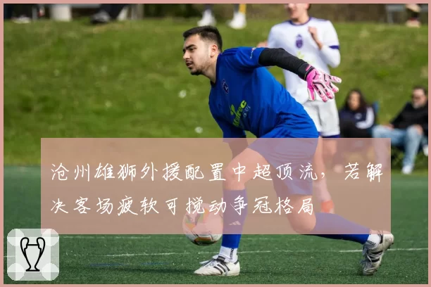 沧州雄狮外援配置中超顶流，若解决客场疲软可搅动争冠格局